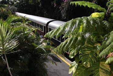 Kuranda Scenic Train