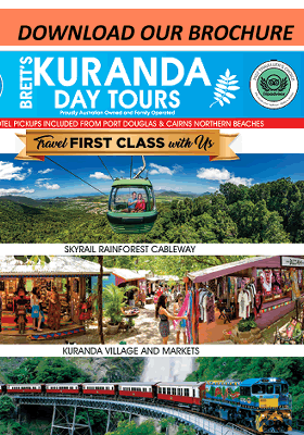 Book your Port Douglas Tours