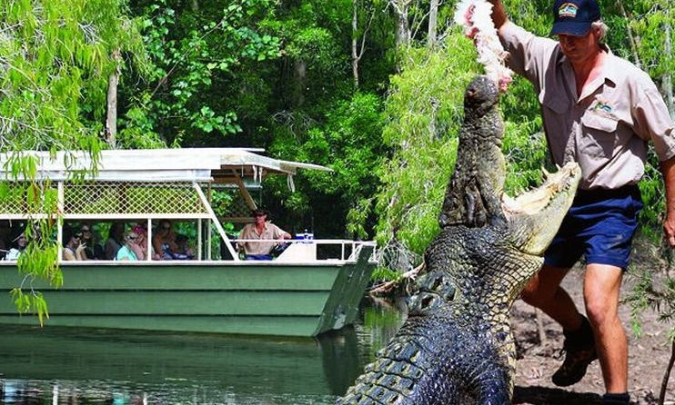 Kuranda Half Day Tours - Hartleys - Port Douglas