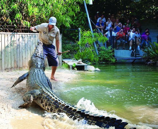 Kuranda Tours Hartleys Crocodile Adventures