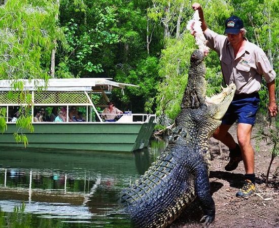 Kuranda Tours Hartleys Crocodile Adventures